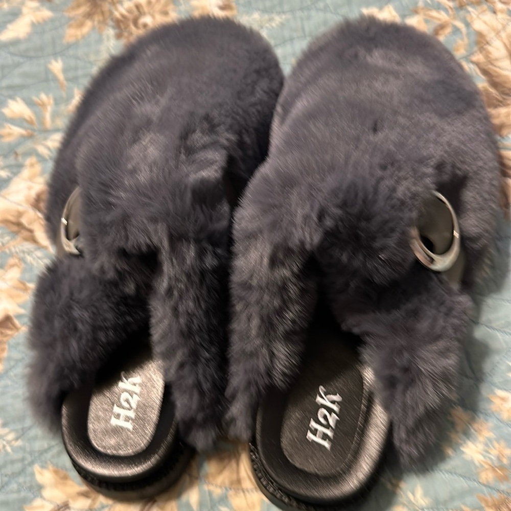 H2K slides